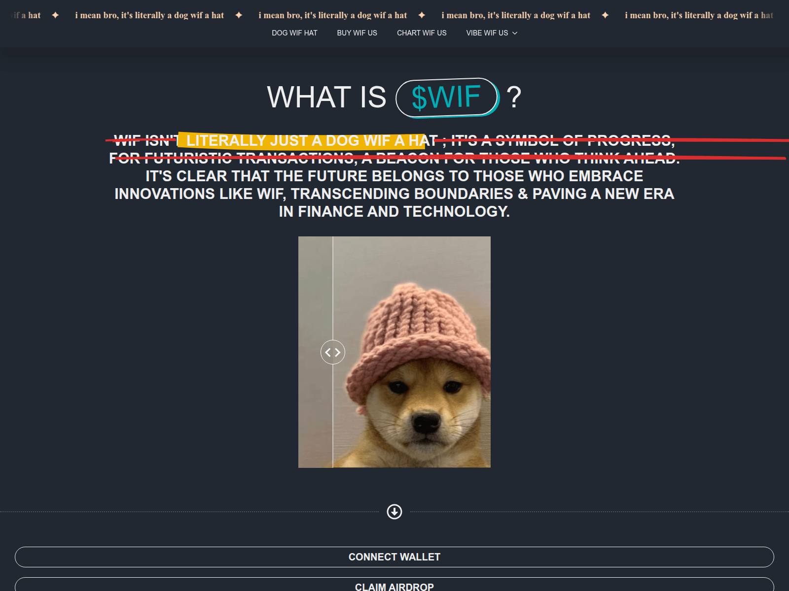 Screenshot of [REDACTED]